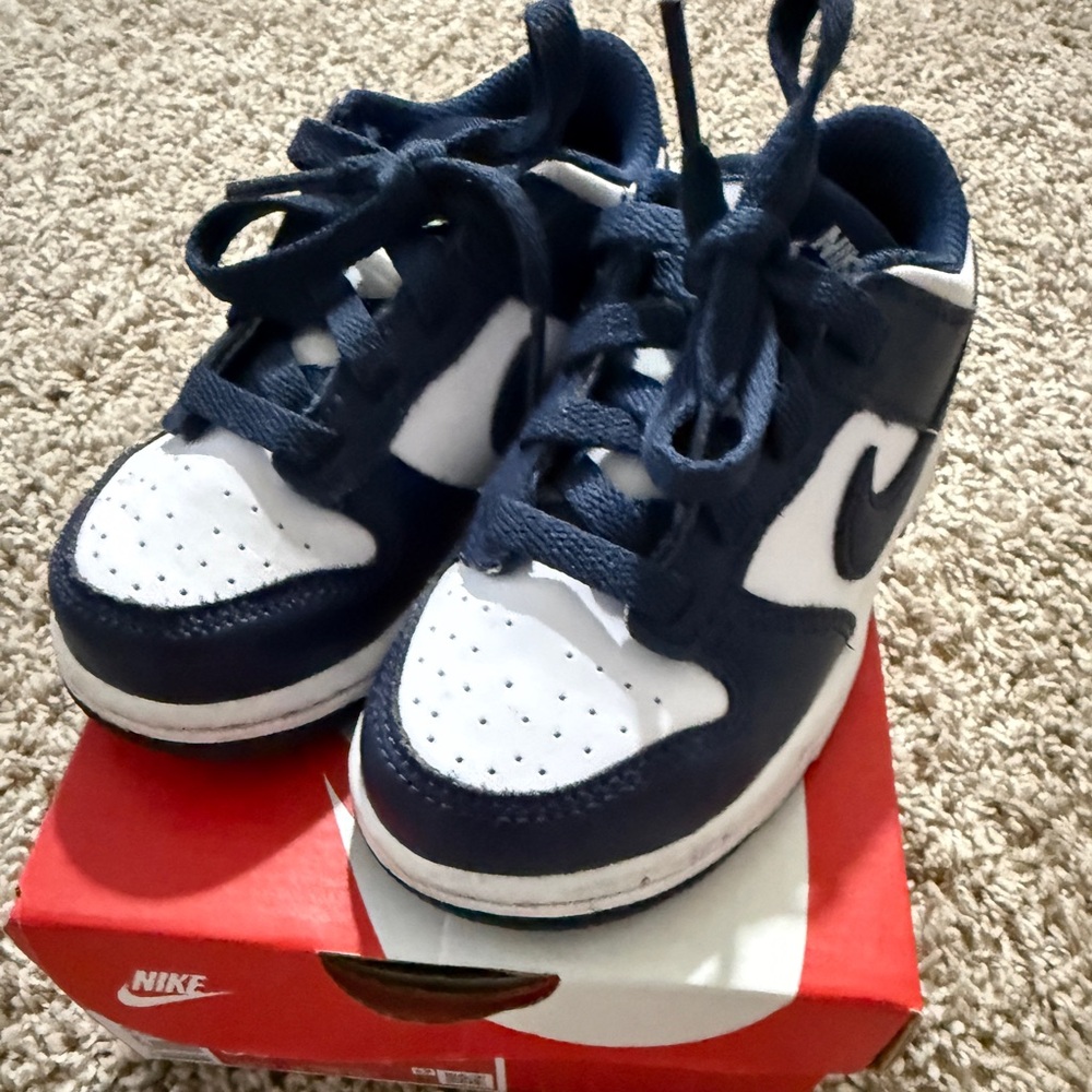 Nike Dunk Low (Toddler)